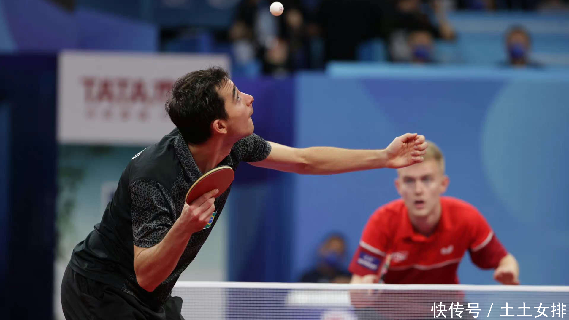 未来之星 未来之星